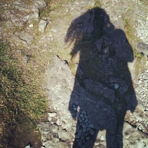 Meet your Posher, Brigid